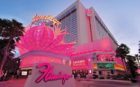 Las Vegas Flamingo Hotel